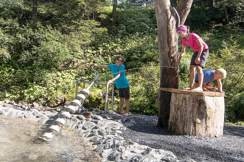 Zoom: Escursione per famiglie alla foresta acquatica. Il parco giochi acquatico si trova in un'idilliaca radura forestale con un ruscello e una cascata sul guado del Pizol.