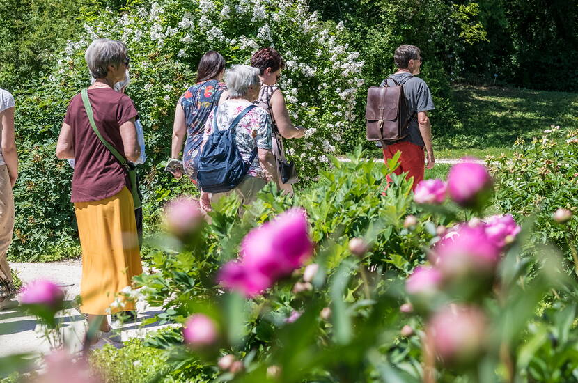 Zoom: Die Merian Gärten sind reiche botanische Gärten, historische Parkanlage und liebevoll gestalteter Erholungsraum zugleich. Sie locken das ganze Jahr mit üppiger Blütenpracht, einer einzigartigen Pflanzenvielfalt und eindrücklichen botanischen Sammlungen.