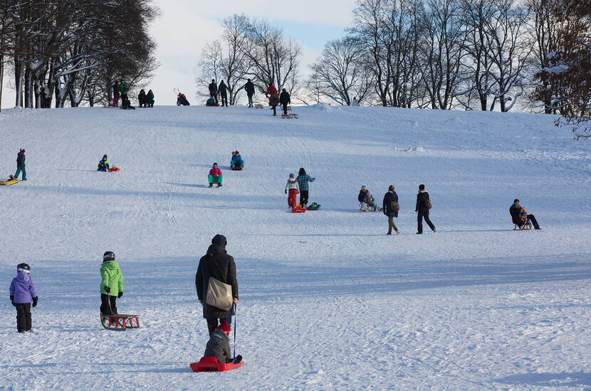 Zoom: Excursion en famille à Berne: sur la montagne emblématique de Berne, le Gurten, il est possible de faire de la luge si la neige est suffisante.