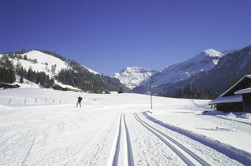 Zoom: Excursion familiale en ski de fond à Aeschi. Débutants, avancés et spécialistes ont à leur disposition 35 km de pistes de ski de fond classiques et 32 km de pistes de skating d'Aeschi à Suldtal en passant par Aeschiried, ainsi que 2 km de pistes de nuit à Aeschiried.