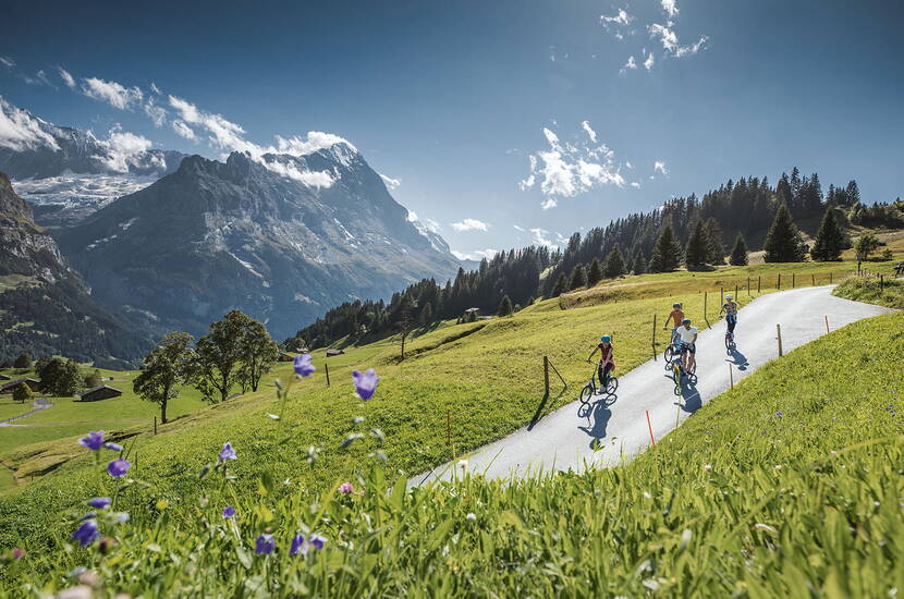 Zoom: Escursione per famiglie Trottibike Bort a Grindelwald. Una corsa veloce con le Trottibike fino a valle. La Firstbahn porta comodamente gli trottibiker da Grindelwald a Bort. 