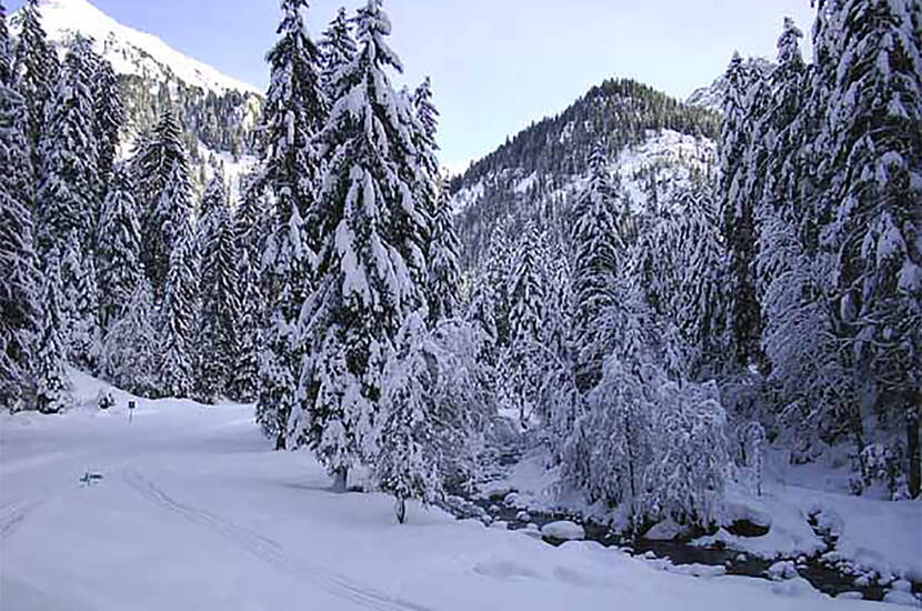 Zoom: Excursion familiale en ski de fond à Aeschi. Débutants, avancés et spécialistes ont à leur disposition 35 km de pistes de ski de fond classiques et 32 km de pistes de skating d'Aeschi à Suldtal en passant par Aeschiried, ainsi que 2 km de pistes de nuit à Aeschiried.