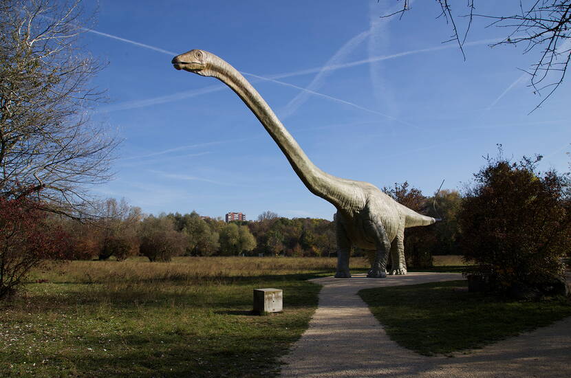 Le «Park im Grünen» offre à tous les visiteurs ce qui leur convient. Des animaux, des plantes, des sculptures, un minigolf, un carrousel ainsi qu'une grande aire de jeux pour les enfants.