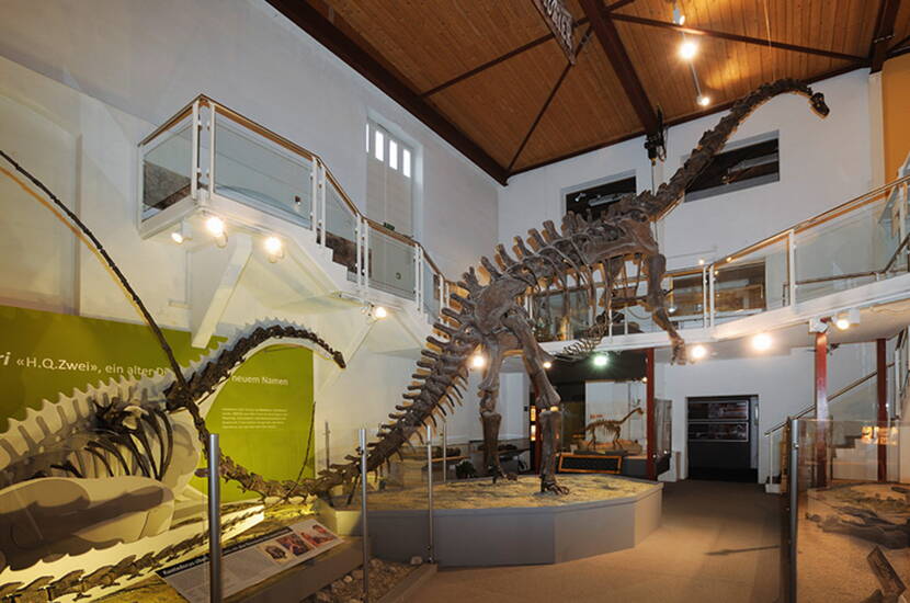 Zoom: Excursion en famille au musée des dinosaures d'Aathal. Tu y apprendras tout ce que tu as toujours voulu savoir sur les dinosaures. S'il fait beau, il est possible de faire un barbecue et un pique-nique sans problème.
