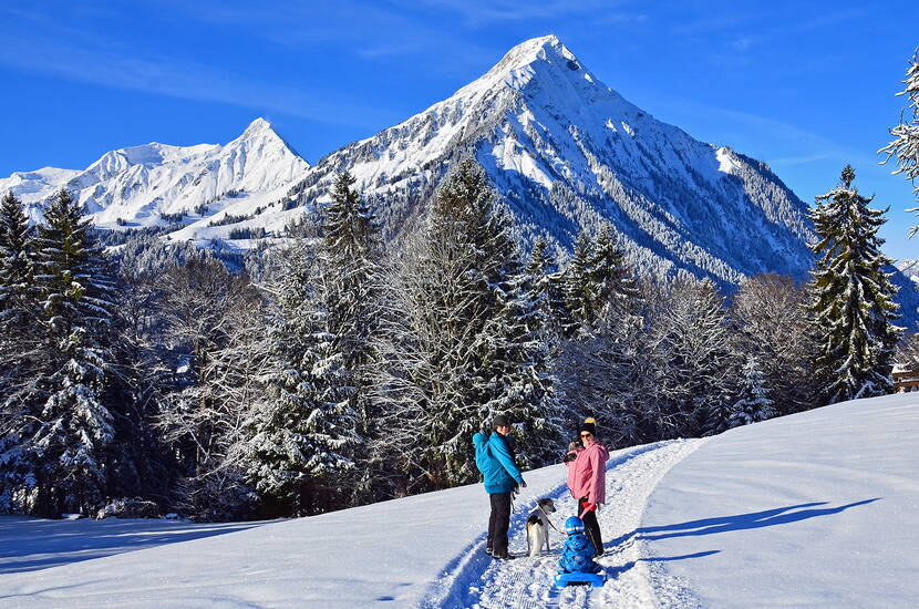 Zoom: Excursion familiale de randonnée hivernale à Aeschi. Plus de 20 kilomètres de chemins de randonnée hivernale tracés/préparés et signalisés avec une vue magnifique sont à disposition dans et autour d'Aeschi. De nombreux restaurants vous invitent à vous réchauffer en chemin.