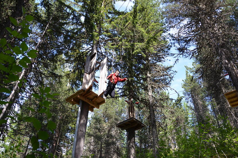 Zoom: Im Kletterpark hangelt man sich von Baum zu Baum und überwindet verschiedene Hindernisse in den Baumwipfeln.