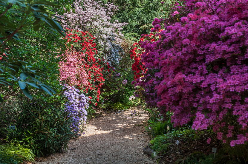 Zoom: Die Merian Gärten sind reiche botanische Gärten, historische Parkanlage und liebevoll gestalteter Erholungsraum zugleich. Sie locken das ganze Jahr mit üppiger Blütenpracht, einer einzigartigen Pflanzenvielfalt und eindrücklichen botanischen Sammlungen.
