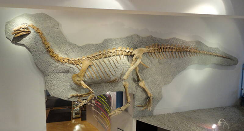 Familienausflug Sauriermuseum Frick. Sauriermuseum Frick Als einziges Museum der Schweiz zeigt das Sauriermuseum Frick ein vollständiges Skelett des Dinosauriers Plateosaurus, das in einer Tongrube bei Frick geborgen werden konnte. Einmalig ist auch der Raubdinosaurier Notatesseraeraptor frickensis, der ebenfalls in Frick gefunden wurde.