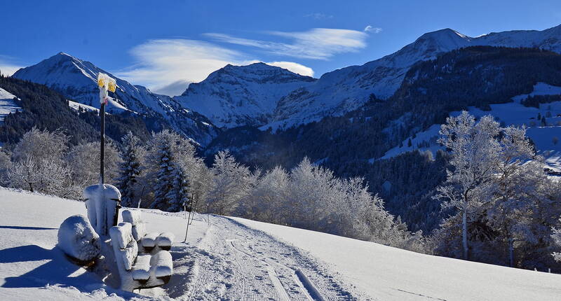 Excursion familiale de randonnée hivernale à Aeschi. Plus de 20 kilomètres de chemins de randonnée hivernale tracés/préparés et signalisés avec une vue magnifique sont à disposition dans et autour d'Aeschi. De nombreux restaurants vous invitent à vous réchauffer en chemin.