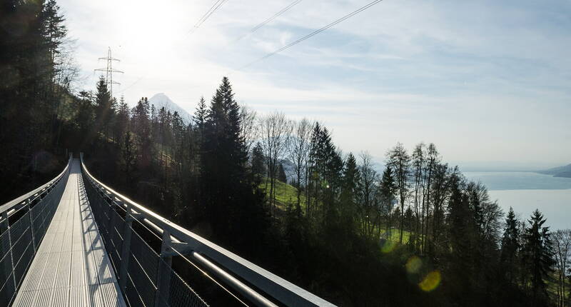 Ausflugsziele Bern - Familienausflug Panorama Rundweg Thunersee. Zu Fuss oder mit dem Velo auf dem Brückenweg um den See.