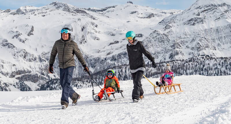 Excursion en famille sur les pistes de luge de Betelberg Lenk. Rapides ou tranquilles, les trois pistes de luge du Betelberg promettent beaucoup de plaisir et de bourrasques de neige. Les pistes de luge sont idéales comme alternative au ski, comme programme en cas de mauvais temps ou tout simplement comme excursion en famille.