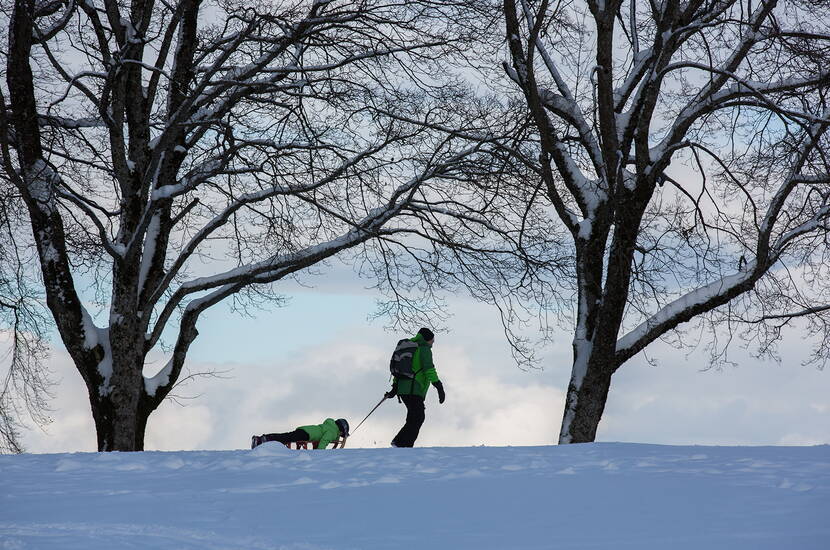 Zoom: Excursion en famille à Berne: sur la montagne emblématique de Berne, le Gurten, il est possible de faire de la luge si la neige est suffisante.