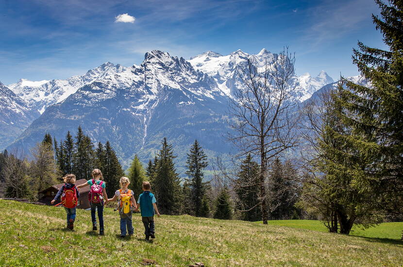 Zoom: Escursione a Berna – Escursione per famiglie sentiero di palla Hasliberg. Sul sentiero escursionistico Bidmi - Hasliberg Reuti vi aspettano dieci emozionanti e variegate piste di palla.