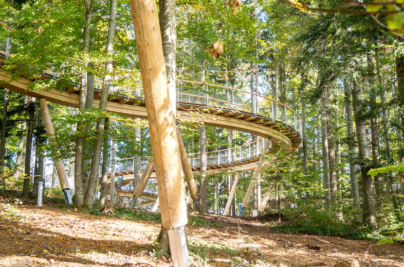 Zoom: Familienausflug Baumwipfelpfad. Erlebt den Wald mit allen Sinnen: Der 500 m lange Baumkronenweg führt vom Waldboden hoch bis über die Baumwipfel. Geniesst auf den Aussichtsplattformen spannende Einblicke in den Wald sowie eine wunderbare Fernsicht.