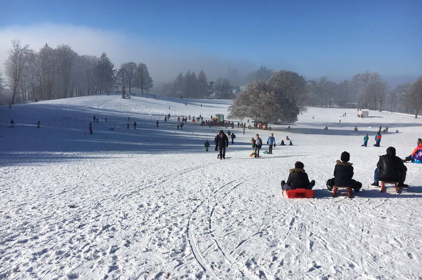 Zoom: Escursione per famiglie al Gurten, la montagna locale di Berna. Slittino e sci e altre offerte interessanti.