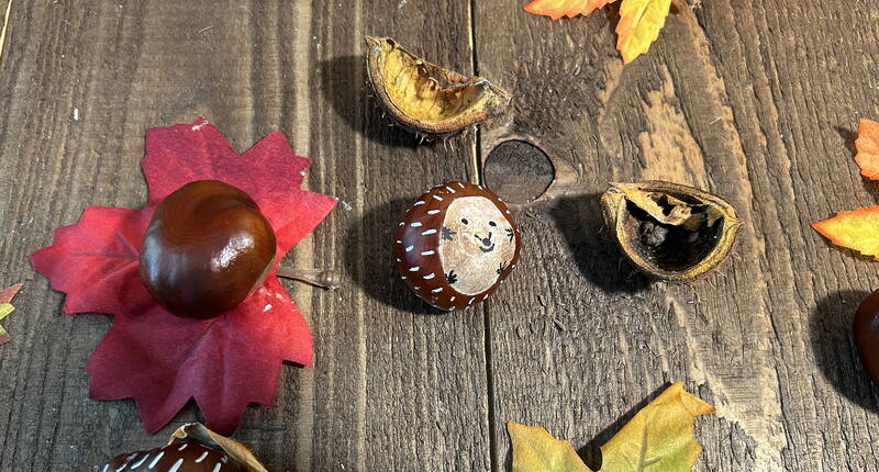 Idée de bricolage - Bricolage facile: Hérisson en châtaignes. Réalisez une belle décoration d'automne à partir de matériaux naturels. 