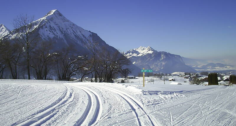 Excursion familiale en ski de fond à Aeschi. Débutants, avancés et spécialistes ont à leur disposition 35 km de pistes de ski de fond classiques et 32 km de pistes de skating d'Aeschi à Suldtal en passant par Aeschiried, ainsi que 2 km de pistes de nuit à Aeschiried.