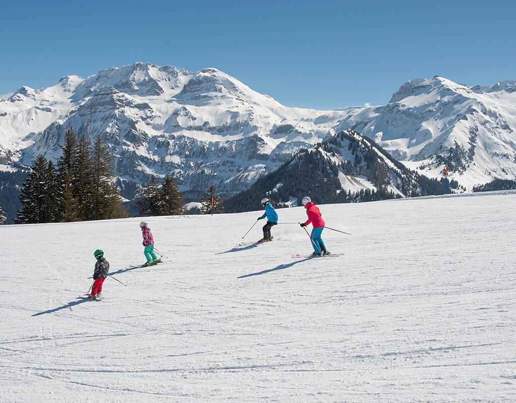 Das Skigebiet Betelberg mit seinen perfekt präparierten Pisten eignet sich ideal für einen entspannten Skitag. Speziell von Anfänger wird das sanft abfallende Gelände von Leiterli bis Stoss geschätzt.